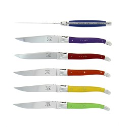 Le coffret de 6  couteaux de table de Laguiole, en tissu coloré multicolore mitres inox finition brillant