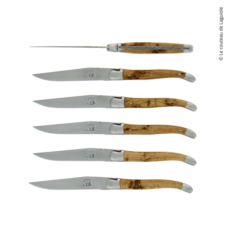 Lot De 6 Couteaux à Fruits/tomates - Lame Inox 12,7 Cm, Pointe Ronde, Poignée Ergonomique, Gris