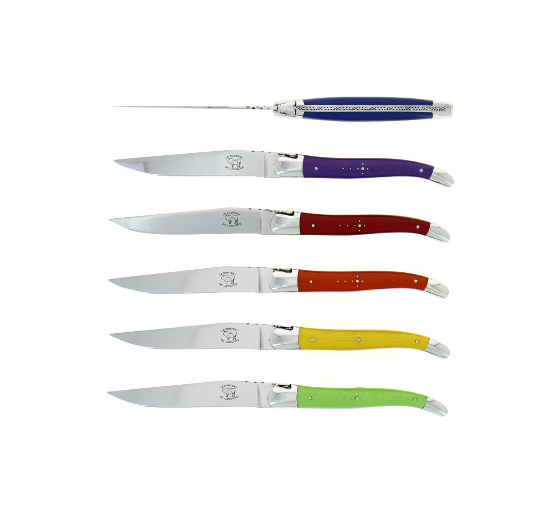 Coffret de 6 couteaux de table de Laguiole, colorés spécial lave-vaisselle